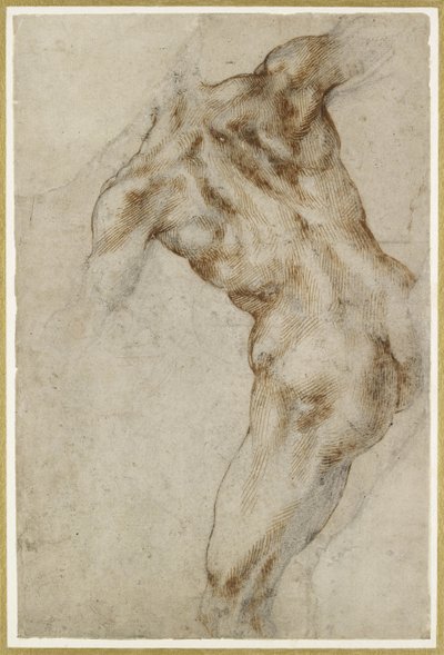 Nude Male Torso by Michelangelo Buonarroti